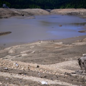 Isušeno Lokvarsko jezero