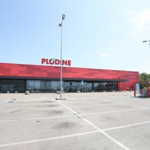 Plodine