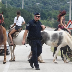 Jak vjetar otežava gašenje požara koji je planuo kod Grebaštice, kanaderi i air tractori u akciji, evakuiraju se kuće