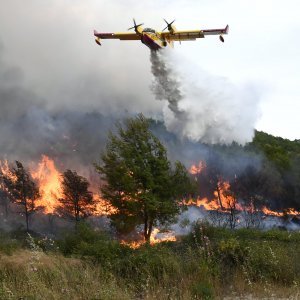 Požar kod Šibenika