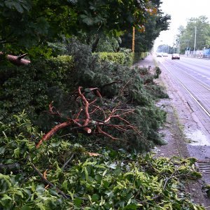 Zagreb dan nakon nevremena sanira štetu