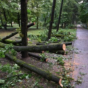 Zagreb dan nakon nevremena sanira štetu