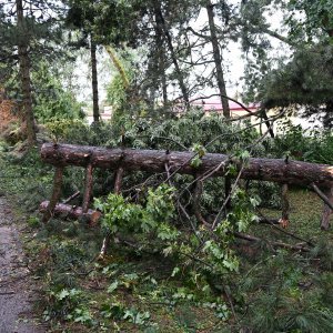 Zagreb dan nakon nevremena sanira štetu