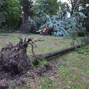 Zagreb dan nakon nevremena sanira štetu