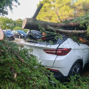 Jak vjetar popraćen obilnom kišom poharao Novigrad i okolicu