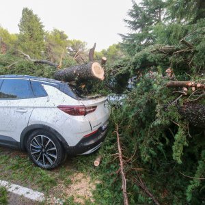 Jak vjetar popraćen obilnom kišom poharao Novigrad i okolicu