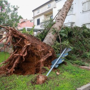 Jak vjetar popraćen obilnom kišom poharao Novigrad i okolicu