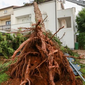 Jak vjetar popraćen obilnom kišom poharao Novigrad i okolicu