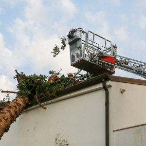 Jak vjetar popraćen obilnom kišom poharao Novigrad i okolicu