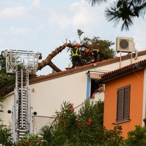 Jak vjetar popraćen obilnom kišom poharao Novigrad i okolicu