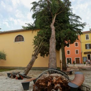 Jak vjetar popraćen obilnom kišom poharao Novigrad i okolicu