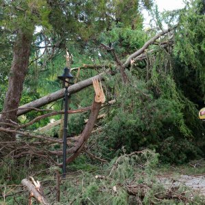 Jak vjetar popraćen obilnom kišom poharao Novigrad i okolicu