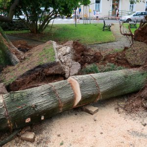 Jak vjetar popraćen obilnom kišom poharao Novigrad i okolicu