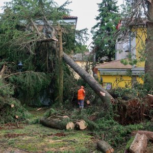 Jak vjetar popraćen obilnom kišom poharao Novigrad i okolicu