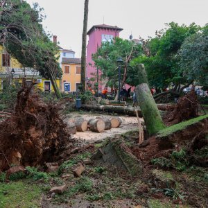 Jak vjetar popraćen obilnom kišom poharao Novigrad i okolicu