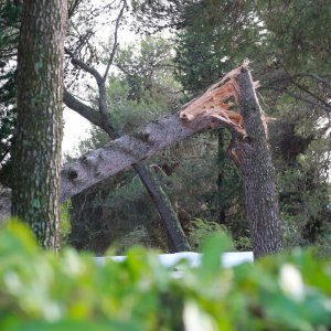 Jak vjetar popraćen obilnom kišom poharao Novigrad i okolicu