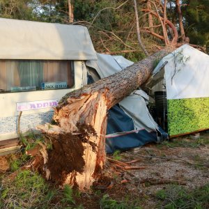 Jak vjetar popraćen obilnom kišom poharao Novigrad i okolicu