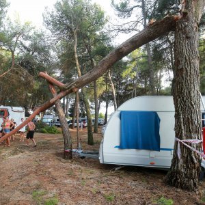 Jak vjetar popraćen obilnom kišom poharao Novigrad i okolicu