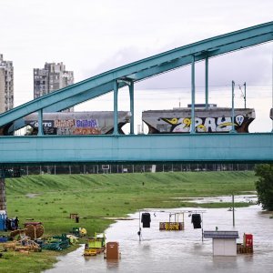 Sava
