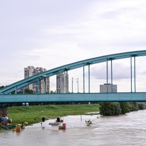 Sava