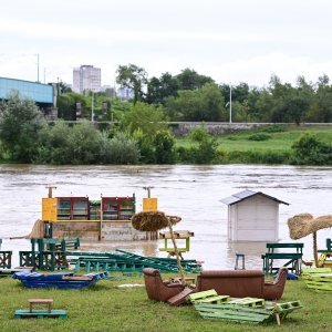 Sava
