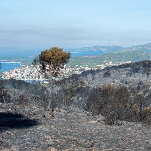 Posljedice velikog požara na Čiovu