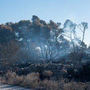 Posljedice velikog požara na Čiovu