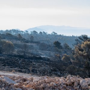 Posljedice velikog požara na Čiovu