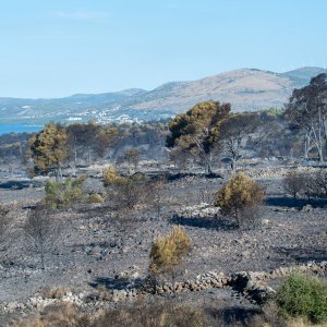 Posljedice velikog požara na Čiovu