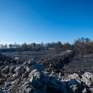 Posljedice velikog požara na Čiovu