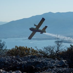 Posljedice velikog požara na Čiovu