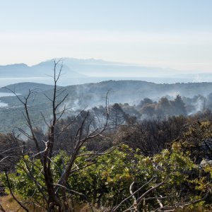 Posljedice velikog požara na Čiovu