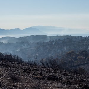 Posljedice velikog požara na Čiovu