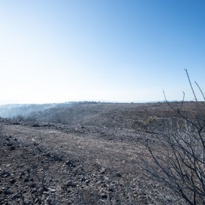 Posljedice velikog požara na Čiovu