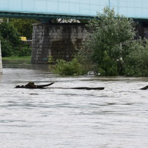 Rijeka Sava se izlila iz svog korita
