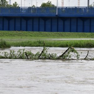 Rijeka Sava se izlila iz svog korita