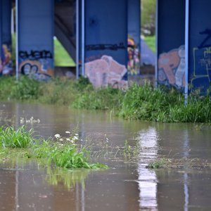 Rijeka Sava se izlila iz svog korita