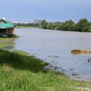 Rijeka Sava se izlila iz svog korita