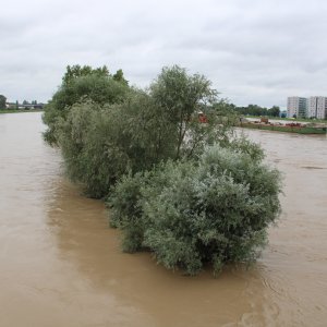 Nabujala Sava u Zagrebu