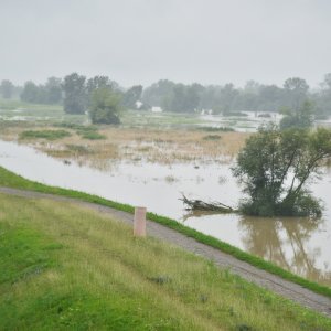 Sava poplavila nasip ispod Domovinskog mosta