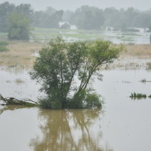 Sava poplavila nasip ispod Domovinskog mosta