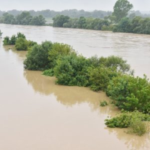 Sava poplavila nasip ispod Domovinskog mosta