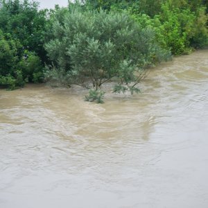 Sava poplavila nasip ispod Domovinskog mosta