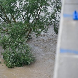 Sava poplavila nasip ispod Domovinskog mosta