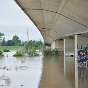 Sava poplavila nasip ispod Domovinskog mosta