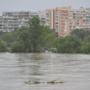 Sava u Zagrebu