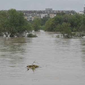 Sava u Zagrebu