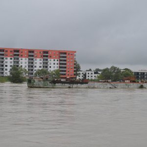 Sava u Zagrebu