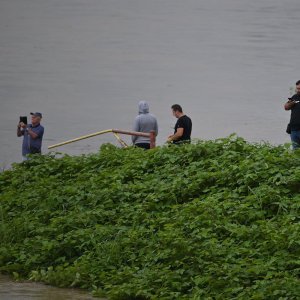 Sava u Zagrebu