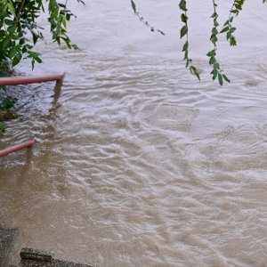 Sava u Zagrebu